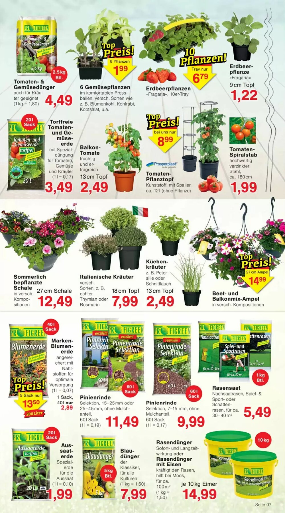 Wiglo Wunderland Prospekt (ab 27.04.2026) zum Blättern - Seite 11