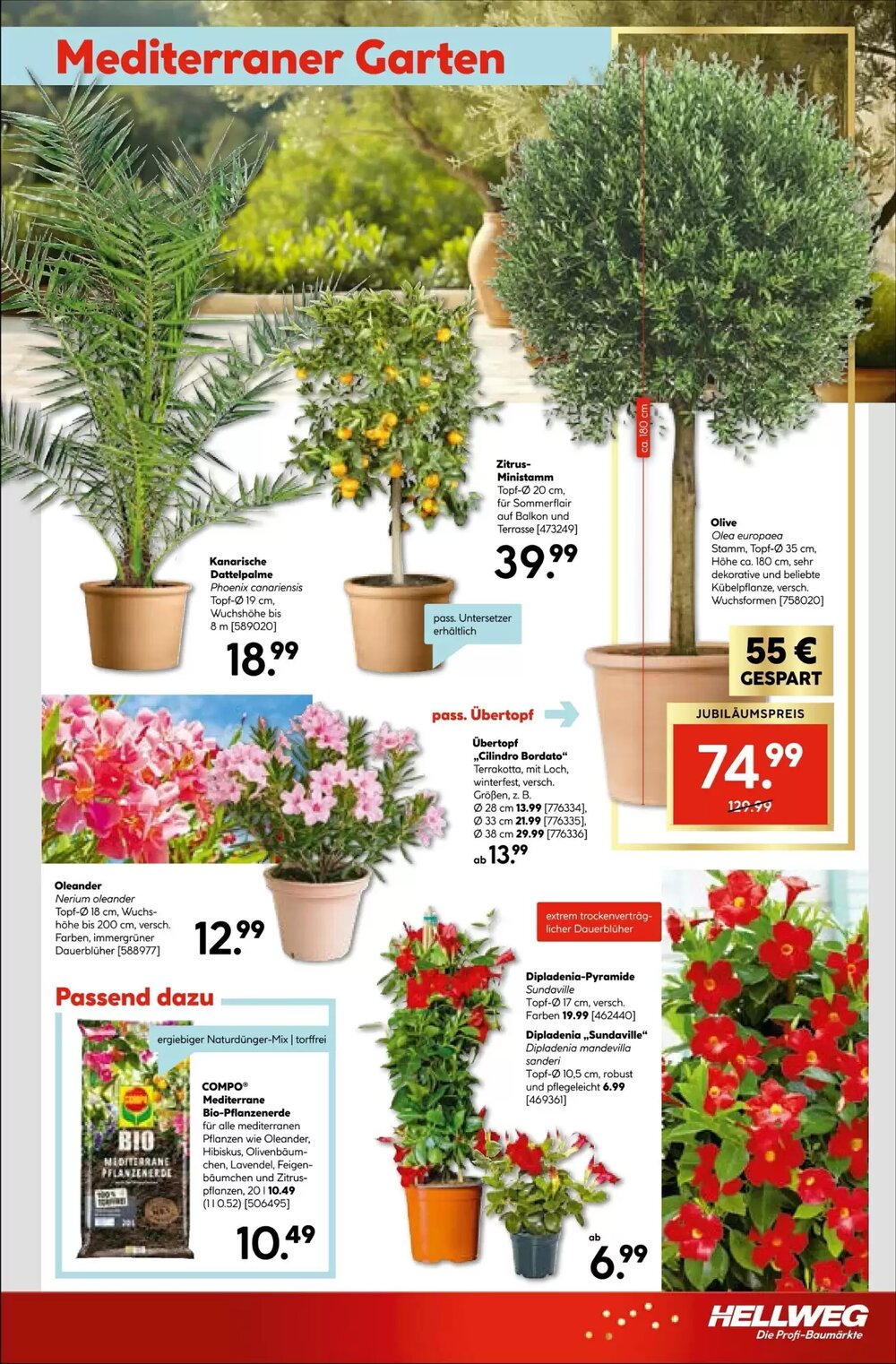 Hellweg Prospekt (ab 27.04.2026) zum Blättern - Seite 21