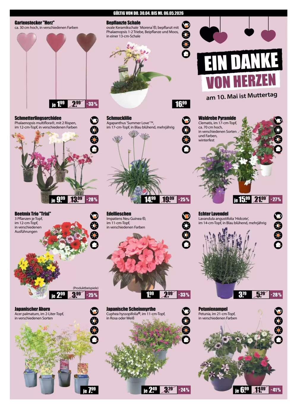 V Baumarkt Prospekt (ab 30.04.2026) zum Blättern - Seite 2