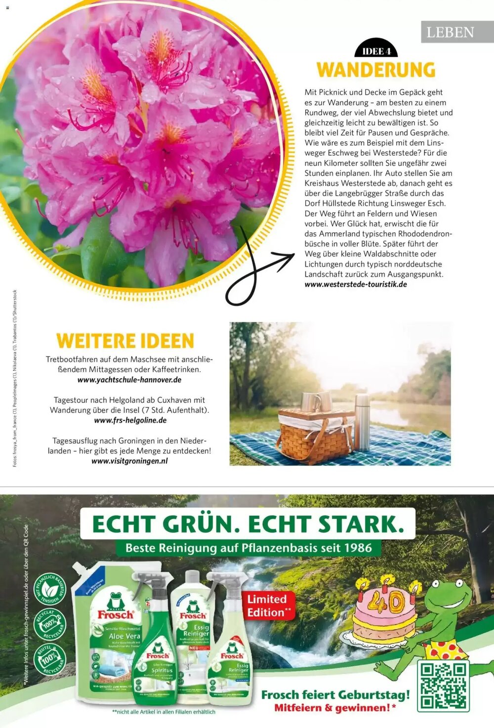 Combi Prospekt (ab 01.05.2026) zum Blättern - Seite 77
