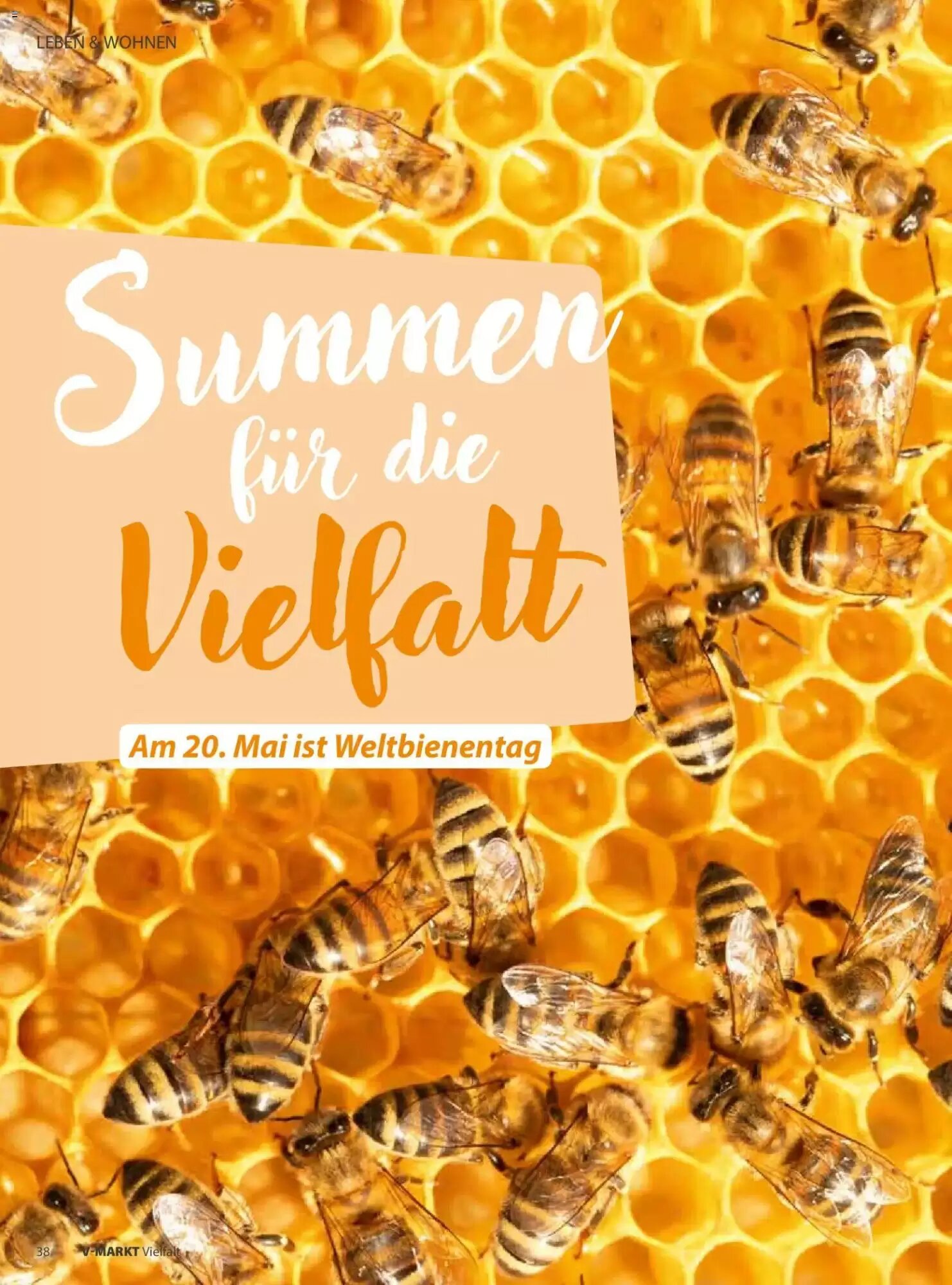 V Markt Prospekt (ab 01.05.2026) zum Blättern - Seite 38
