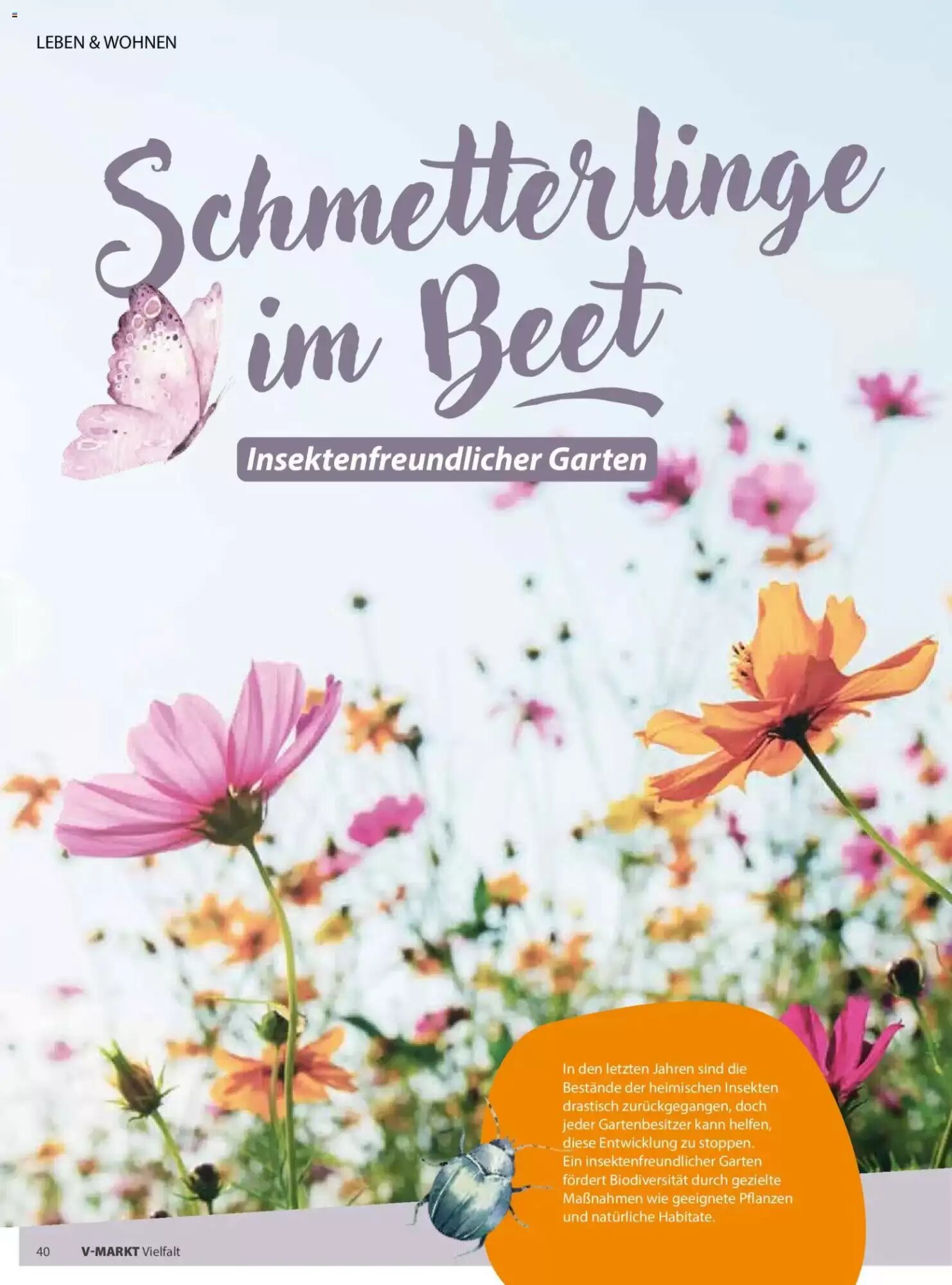 V Markt Prospekt (ab 01.05.2026) zum Blättern - Seite 40