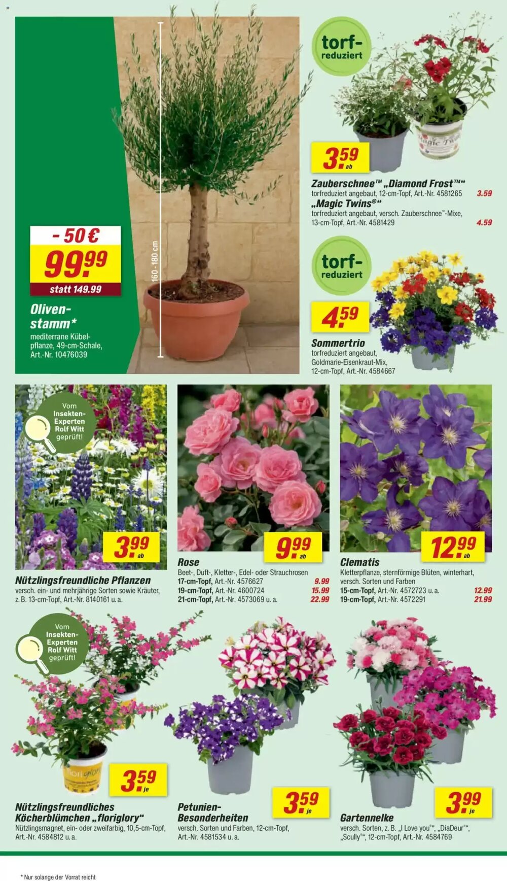 toom Baumarkt Prospekt (ab 02.05.2026) zum Blättern - Seite 8