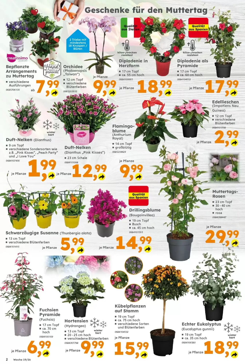 Globus Baumarkt Prospekt (ab 03.05.2026) zum Blättern - Seite 2