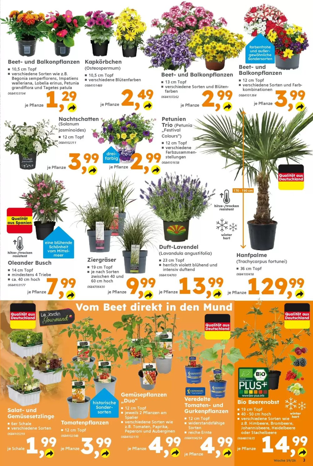 Globus Baumarkt Prospekt (ab 03.05.2026) zum Blättern - Seite 3