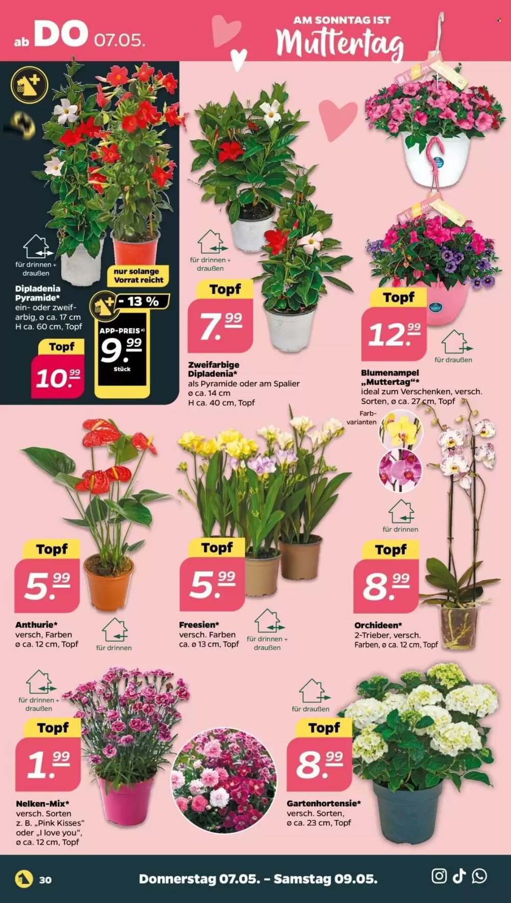 NETTO Prospekt (ab 04.05.2026) zum Blättern - Seite 34