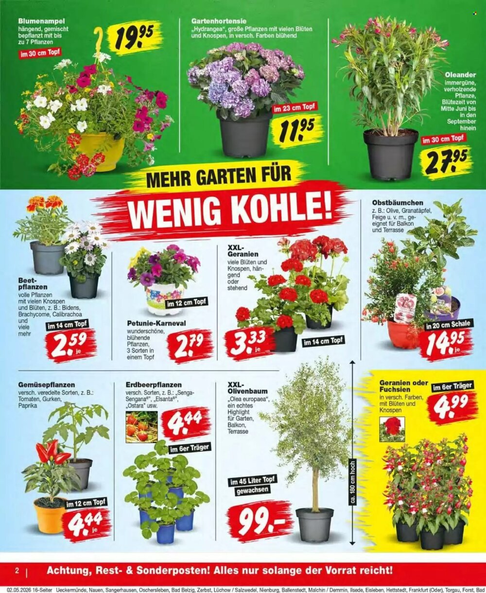 Repo Markt Prospekt (ab 04.05.2026) zum Blättern - Seite 2