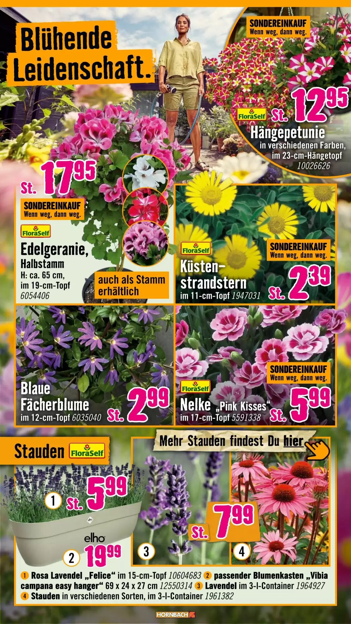 Hornbach Prospekt (ab 06.05.2026) zum Blättern - Seite 10