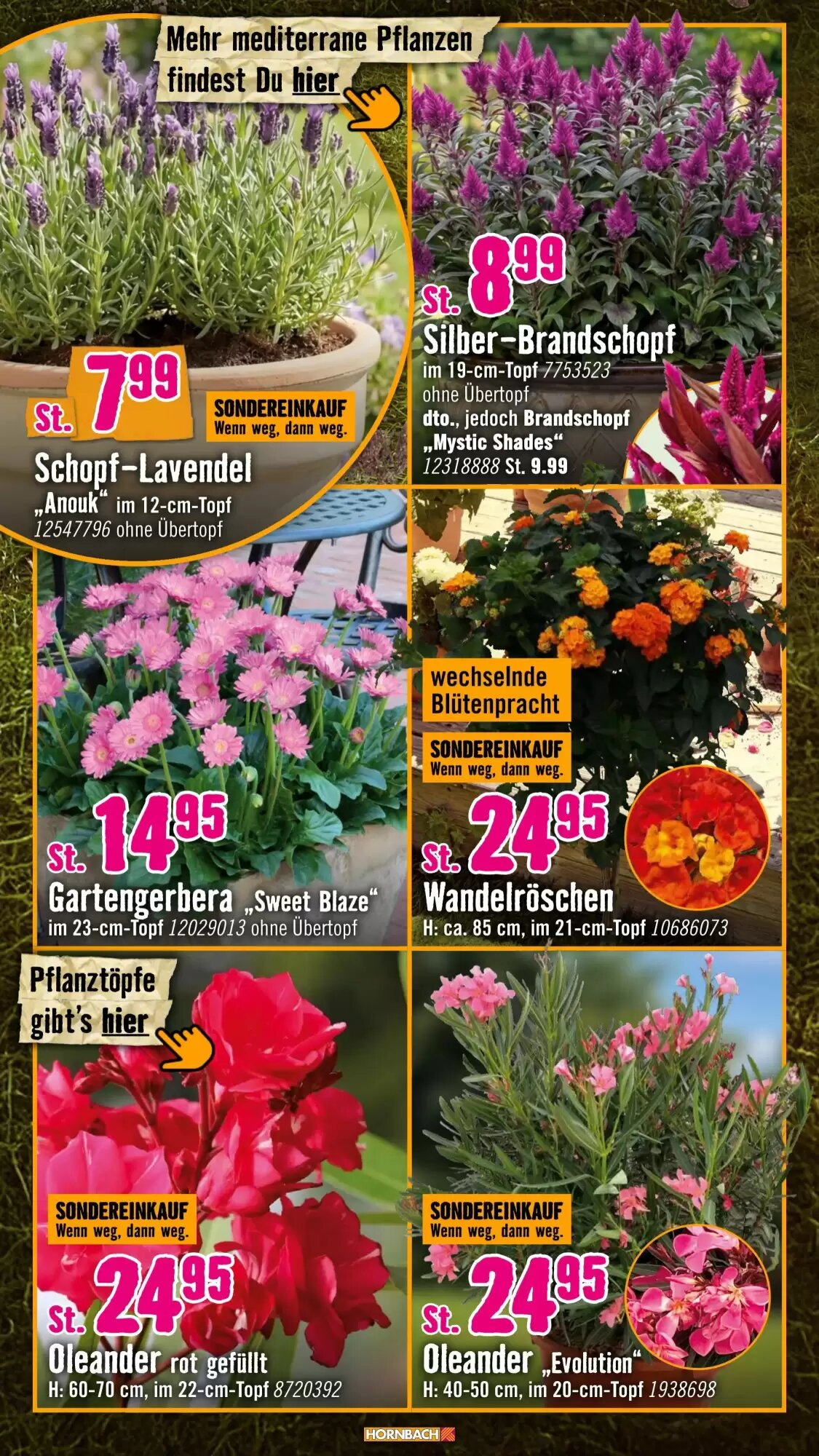 Hornbach Prospekt (ab 06.05.2026) zum Blättern - Seite 12