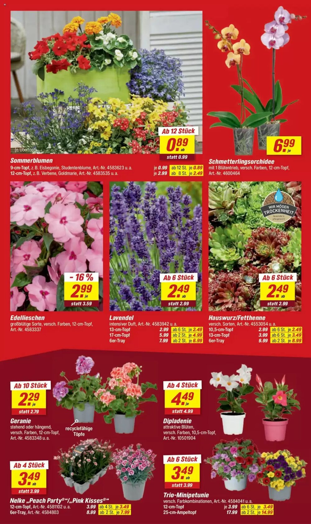 toom Baumarkt Prospekt (ab 09.05.2026) zum Blättern - Seite 4