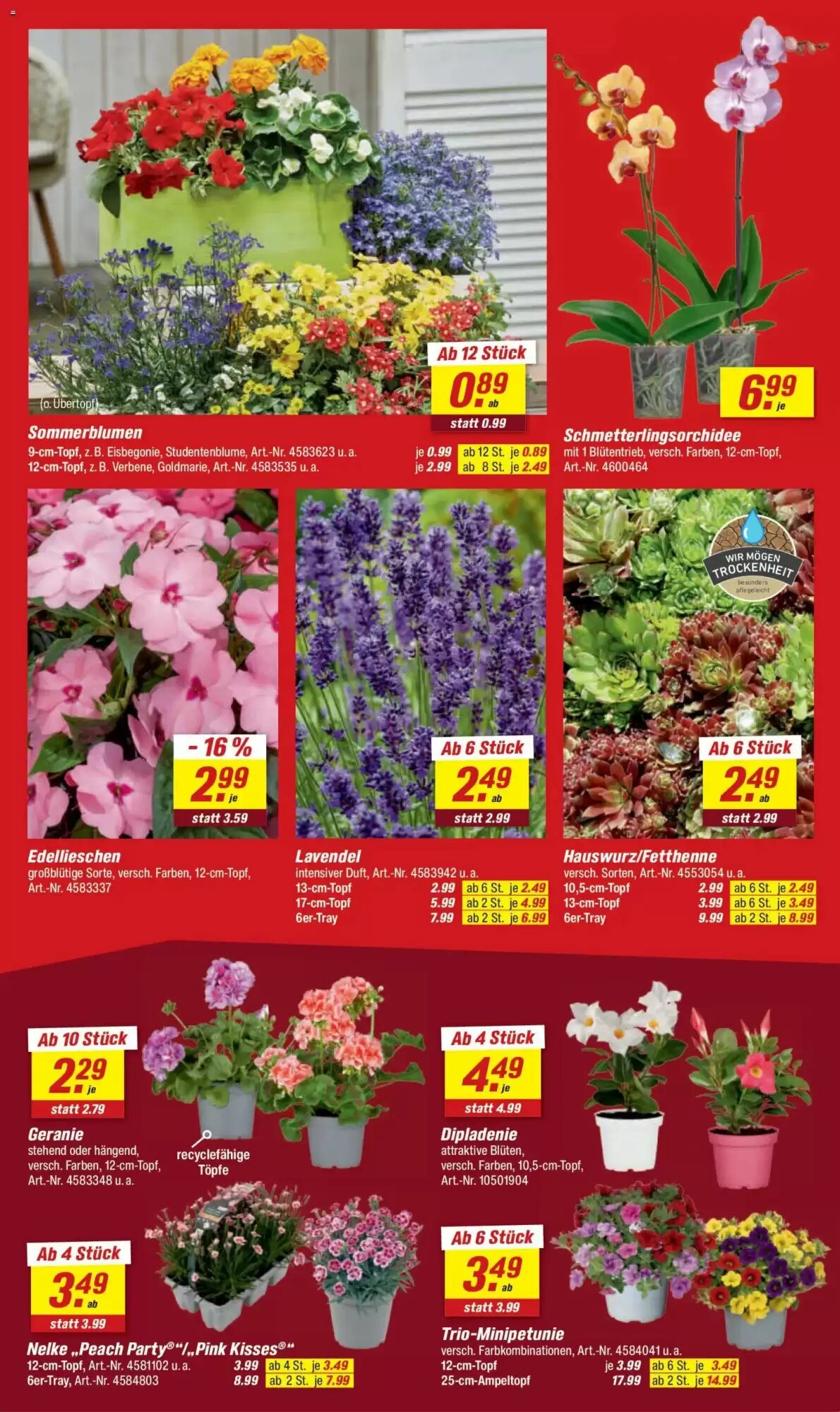 toom Baumarkt Prospekt (ab 09.05.2026) zum Blättern - Seite 4