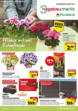 Hagebau Prospekt (ab 09.05.2026) zum Blättern