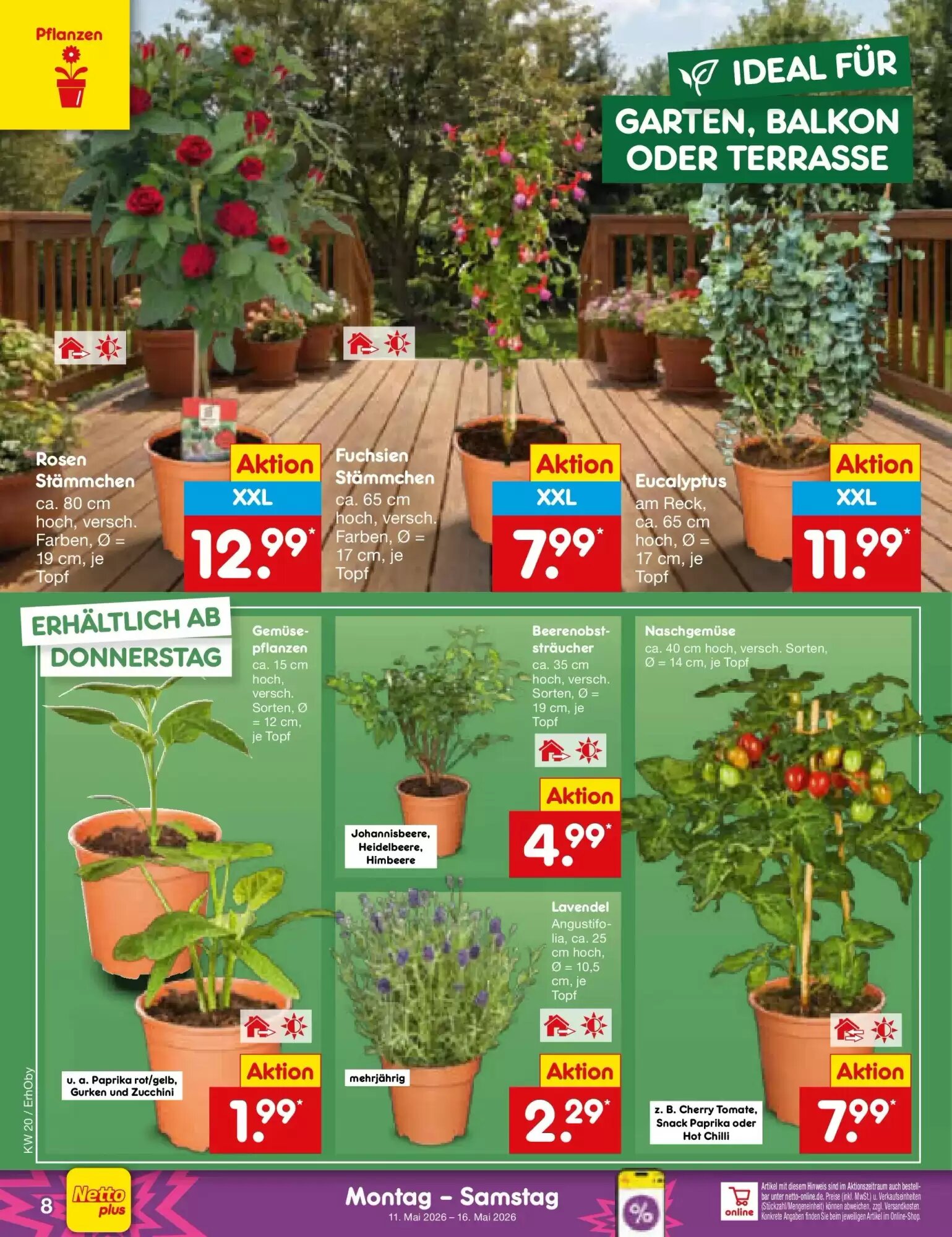 Netto Marken-Discount Prospekt (ab 11.05.2026) zum Blättern - Seite 9