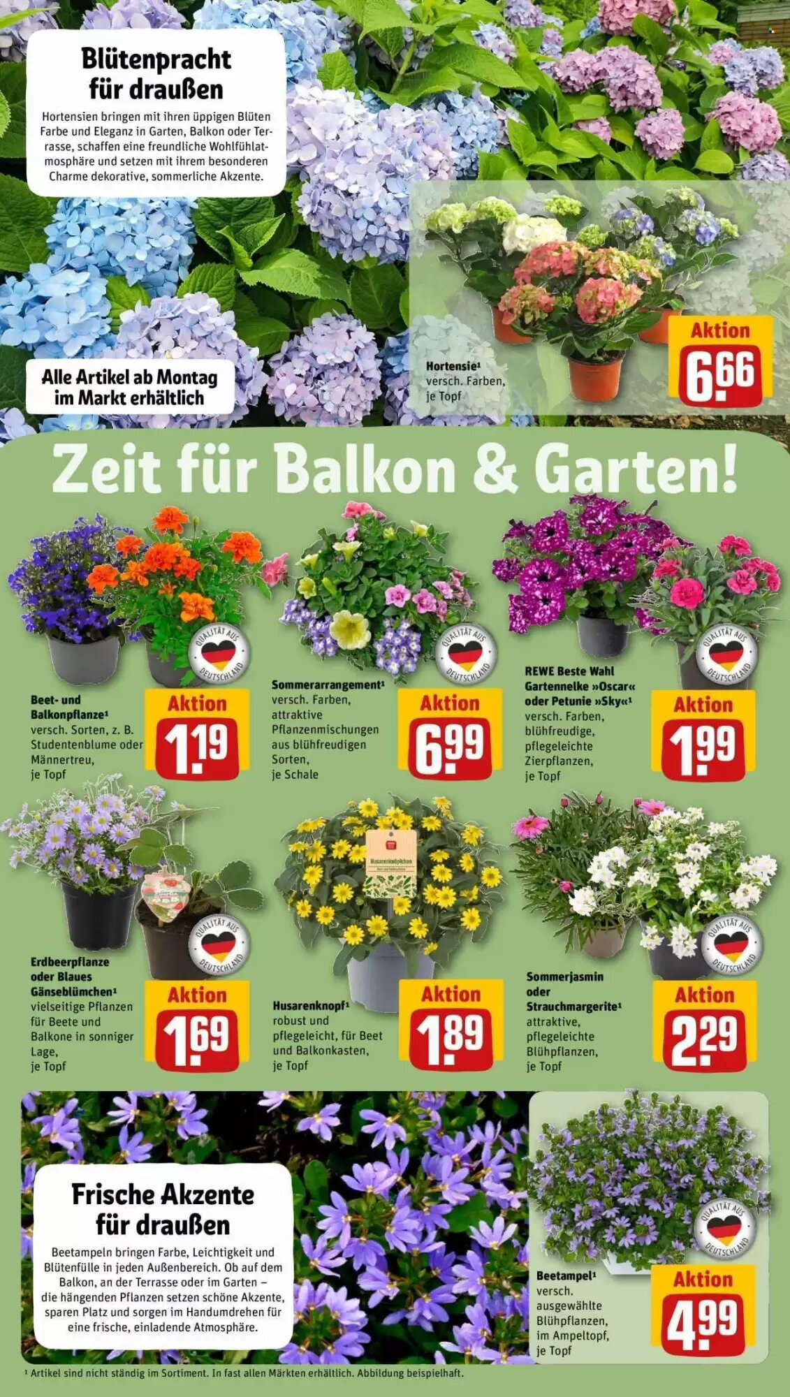 REWE Prospekt (ab 11.05.2026) zum Blättern - Seite 6