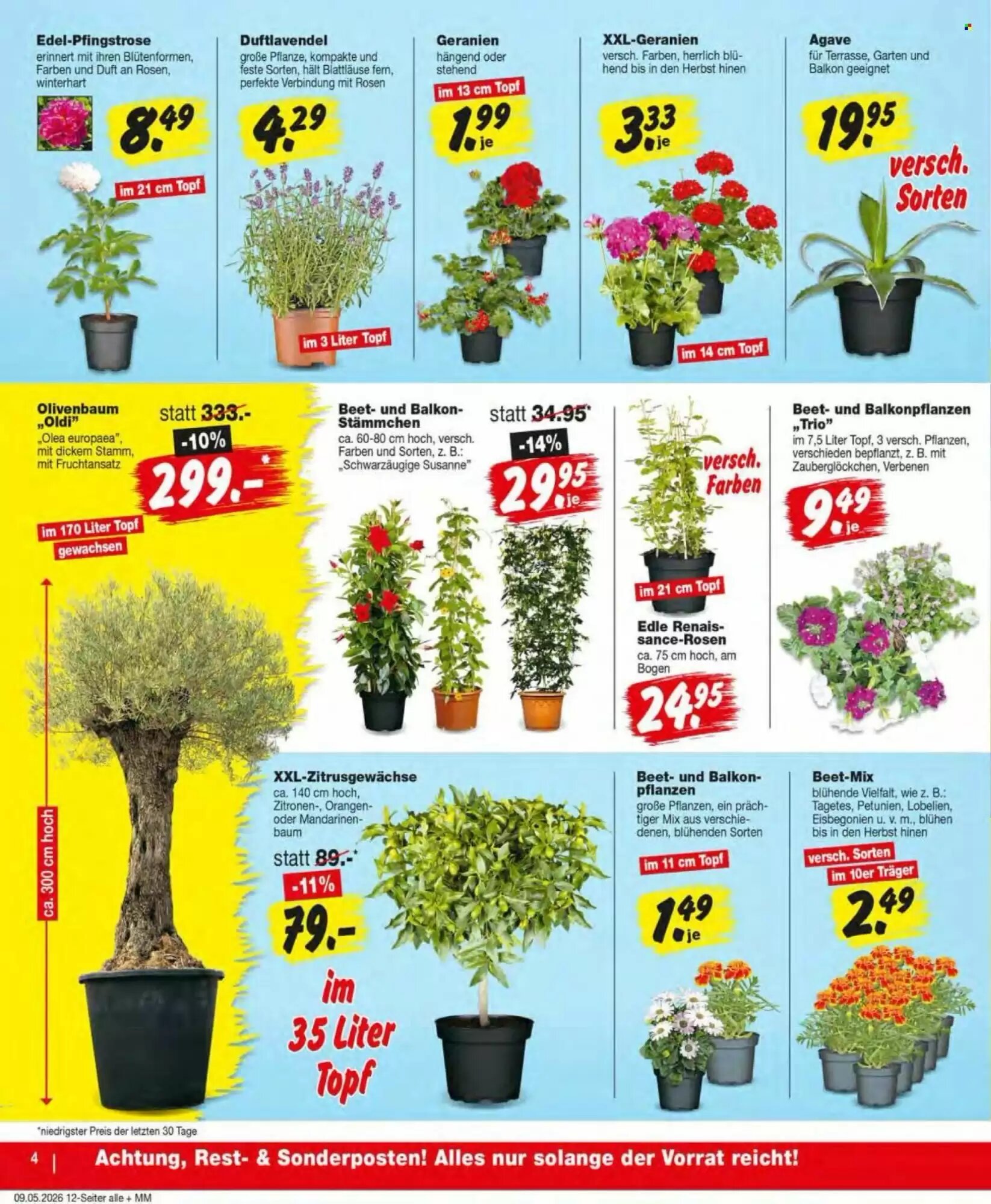 Repo Markt Prospekt (ab 11.05.2026) zum Blättern - Seite 4