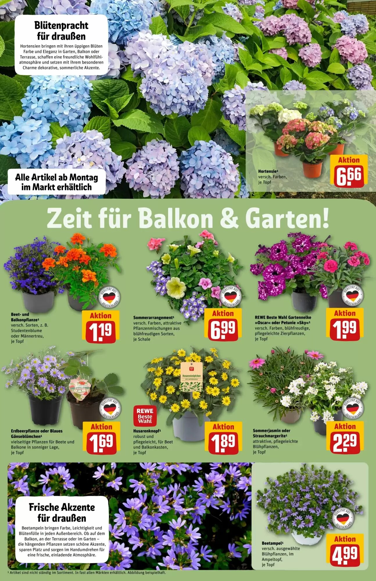 REWE Center Prospekt (ab 11.05.2026) zum Blättern - Seite 6