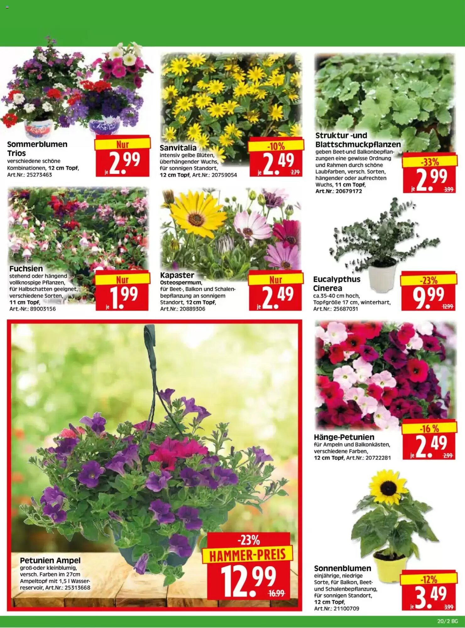 Herkules Baumarkt Prospekt (ab 11.05.2026) zum Blättern - Seite 2