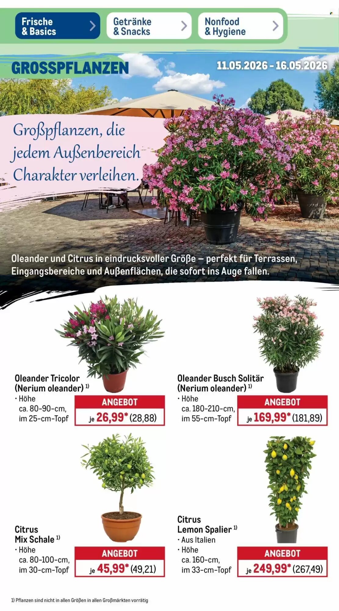 METRO Prospekt (ab 11.05.2026) zum Blättern - Seite 37