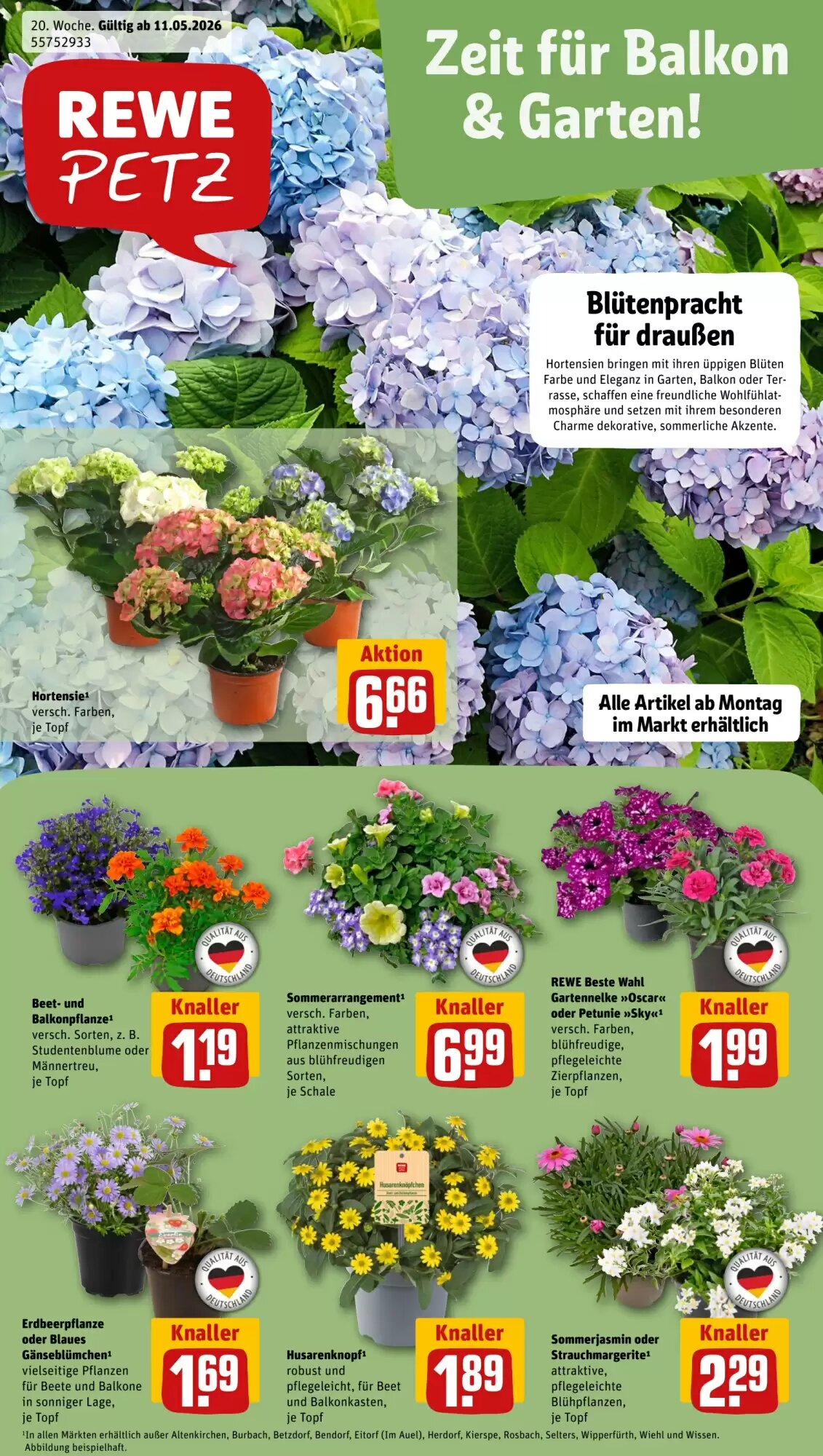 REWE PETZ Prospekt (ab 11.05.2026) zum Blättern - Seite 1