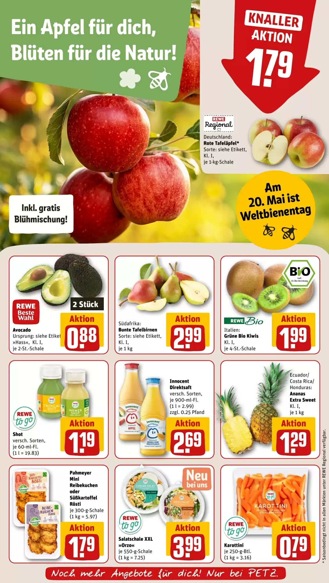 REWE PETZ Prospekt (ab 11.05.2026) zum Blättern - Seite 10