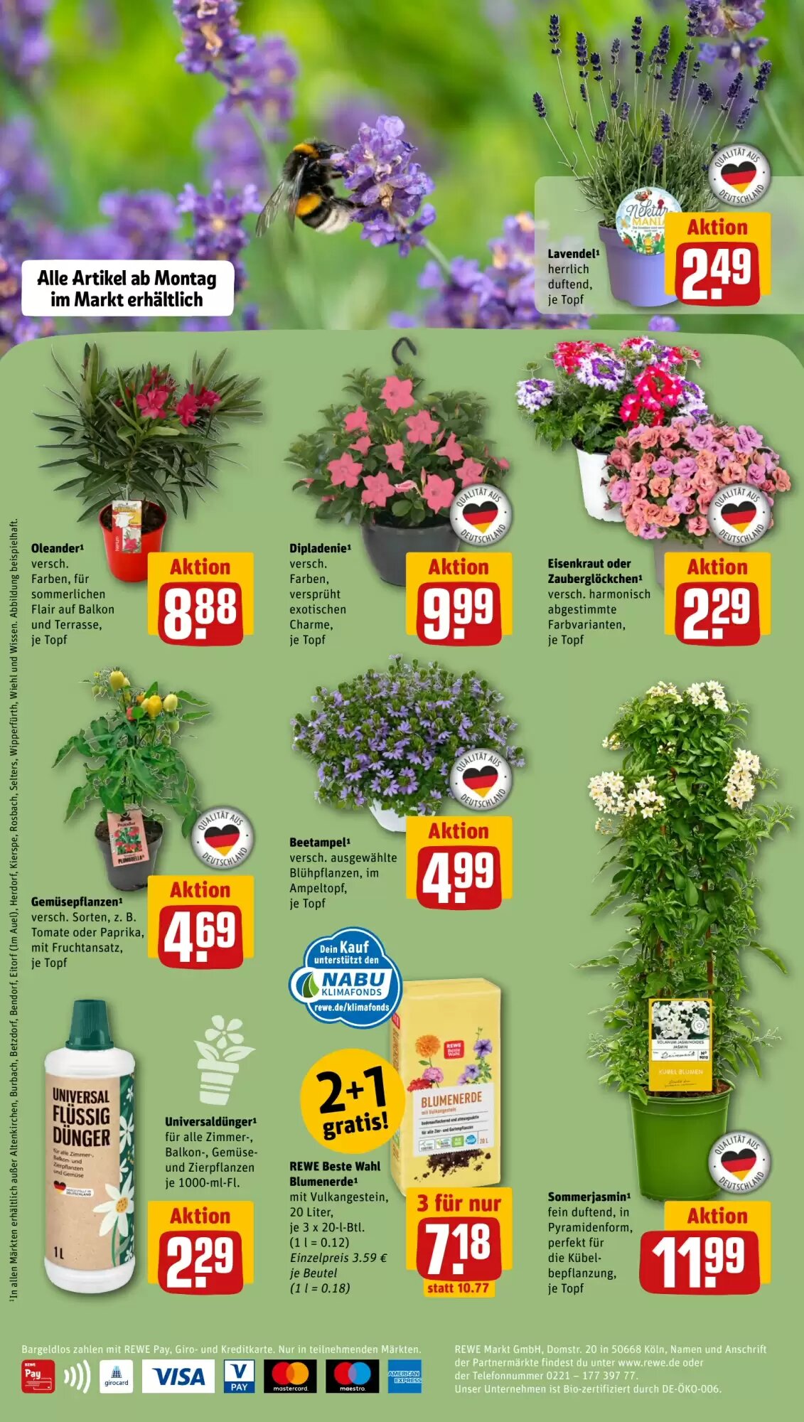 REWE PETZ Prospekt (ab 11.05.2026) zum Blättern - Seite 2