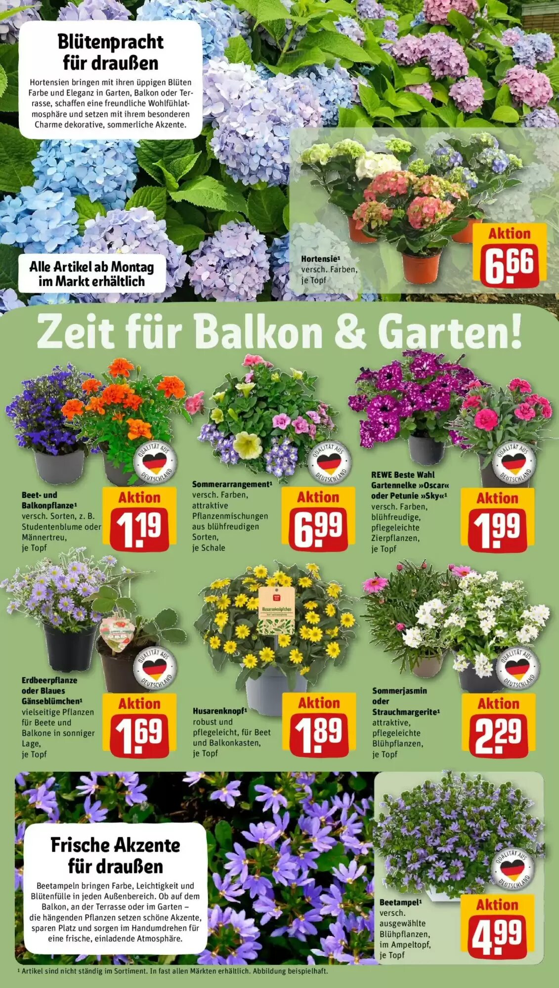 REWE Kaufpark Prospekt (ab 12.05.2026) zum Blättern - Seite 14