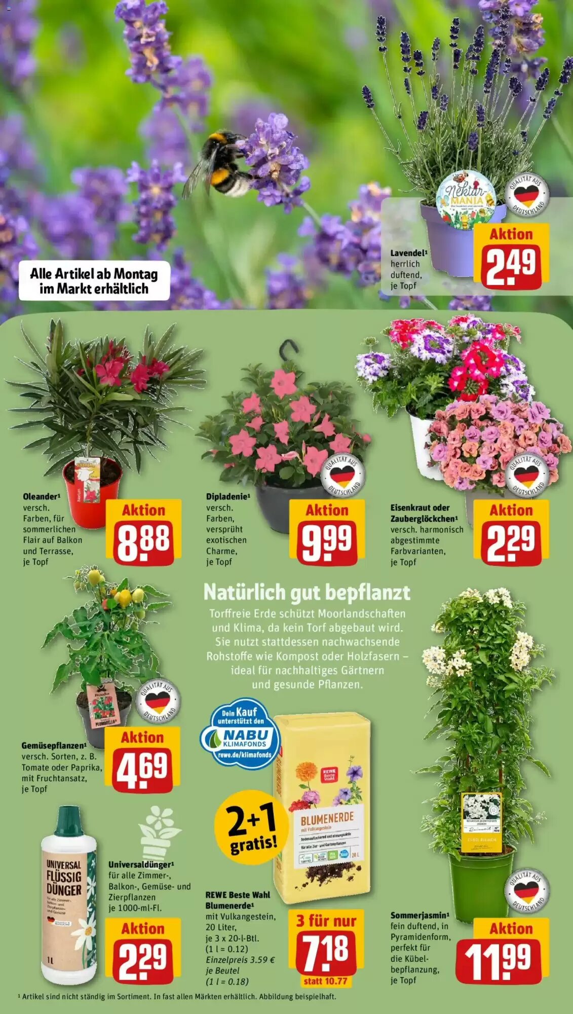 REWE Kaufpark Prospekt (ab 12.05.2026) zum Blättern - Seite 15