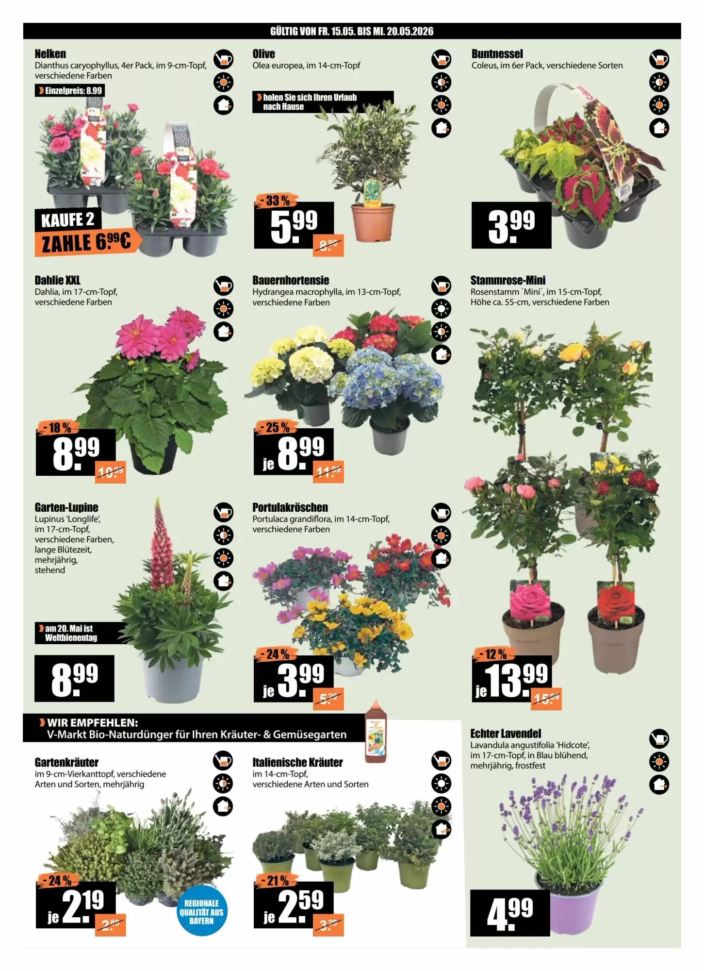 V Baumarkt Prospekt (ab 15.05.2026) zum Blättern - Seite 2