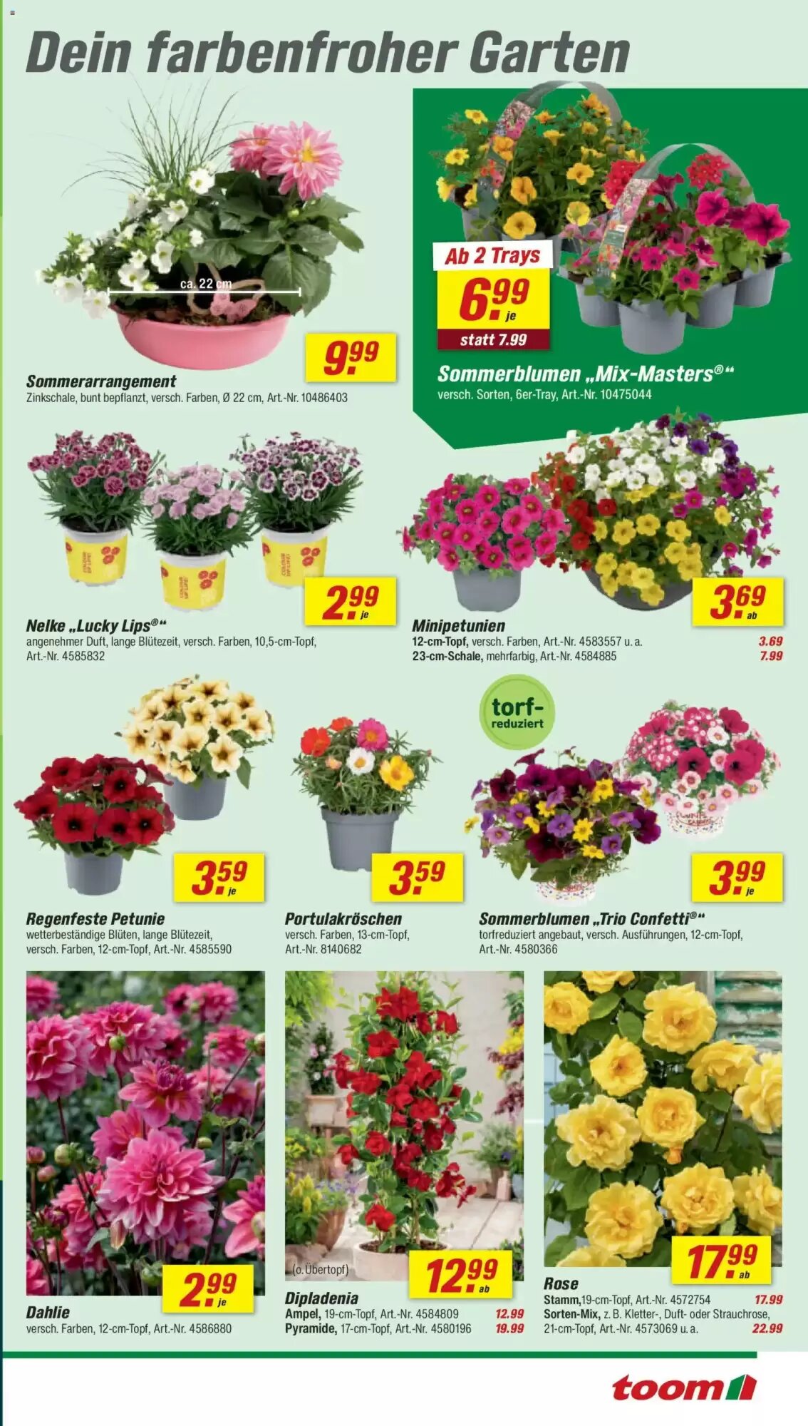 toom Baumarkt Prospekt (ab 16.05.2026) zum Blättern - Seite 3