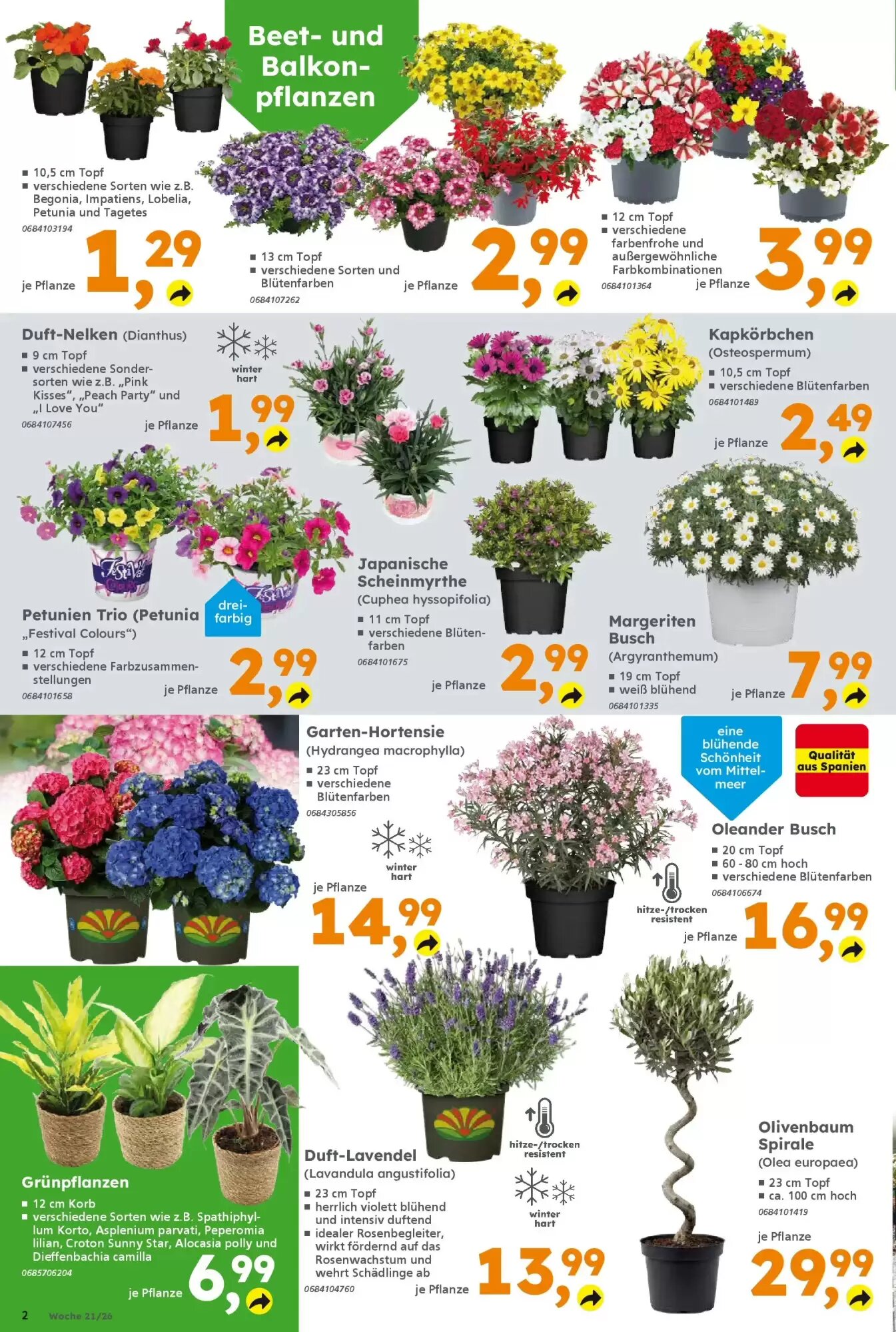 Globus Baumarkt Prospekt (ab 17.05.2026) zum Blättern - Seite 2