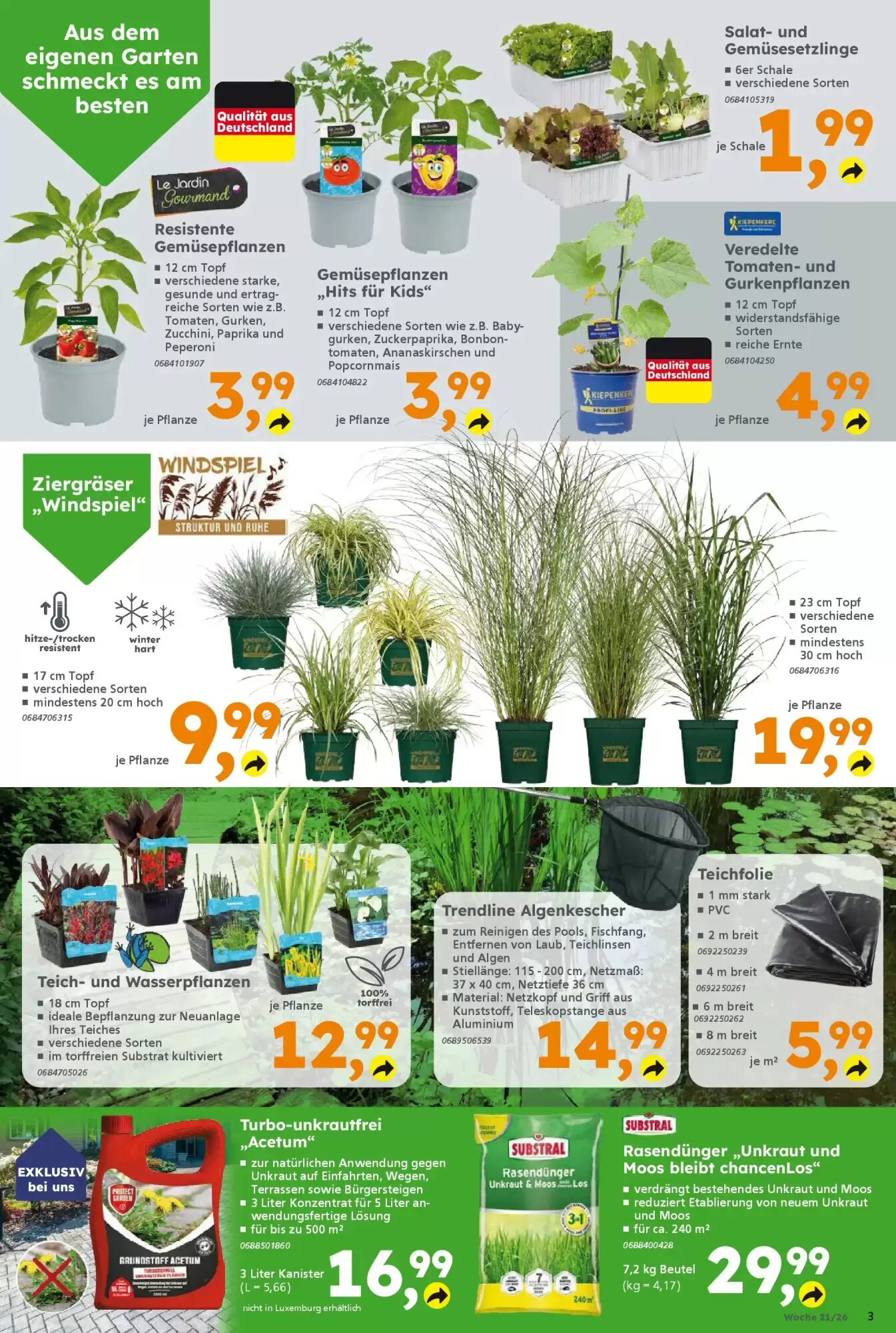 Globus Baumarkt Prospekt (ab 17.05.2026) zum Blättern - Seite 3