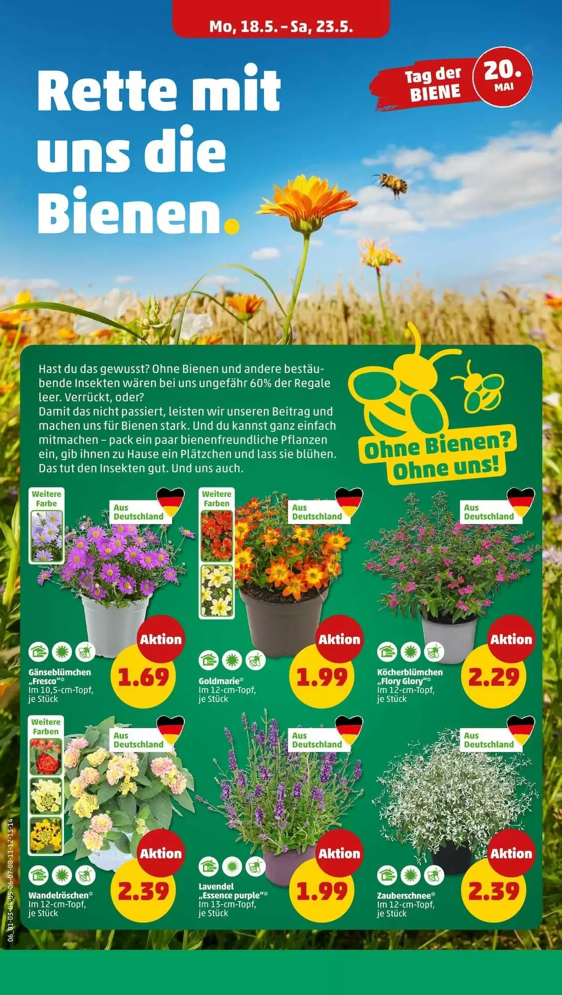 PENNY Prospekt (ab 18.05.2026) zum Blättern - Seite 6