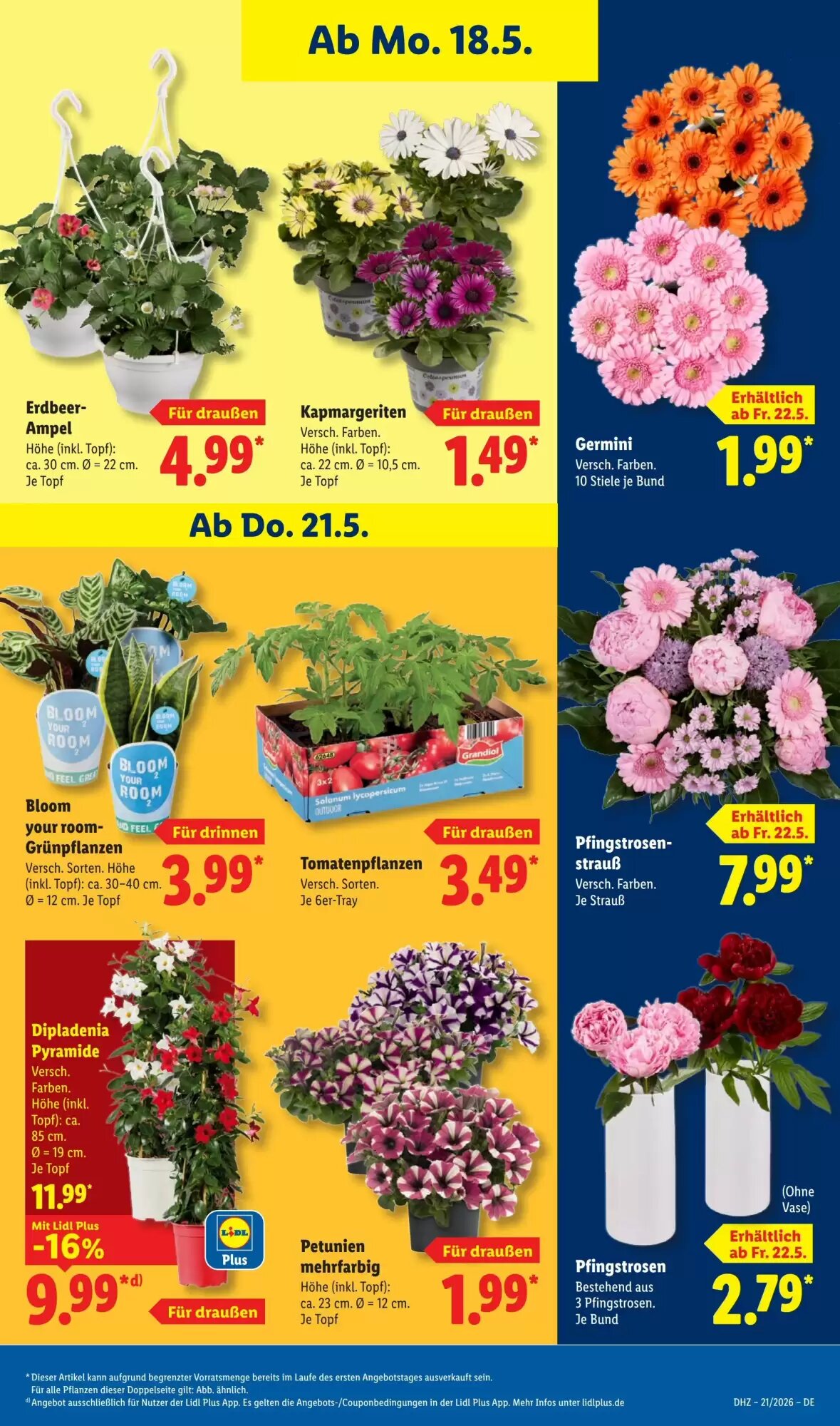Lidl Prospekt (ab 18.05.2026) zum Blättern - Seite 75