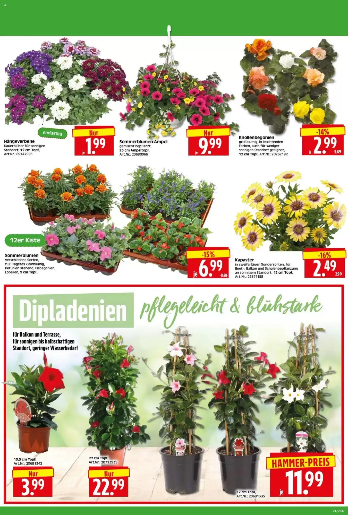 Herkules Baumarkt Prospekt (ab 18.05.2026) zum Blättern - Seite 2