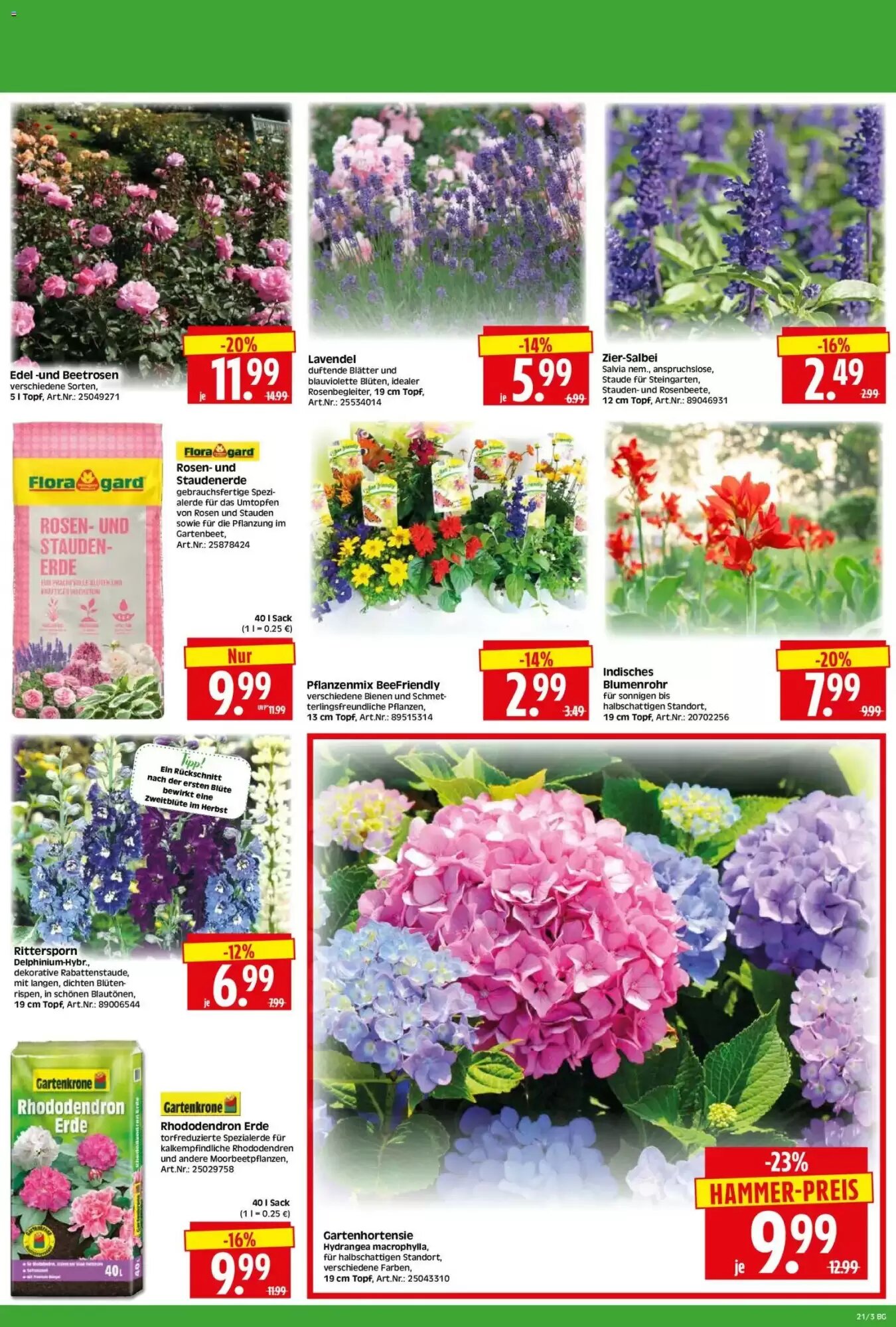 Herkules Baumarkt Prospekt (ab 18.05.2026) zum Blättern - Seite 3