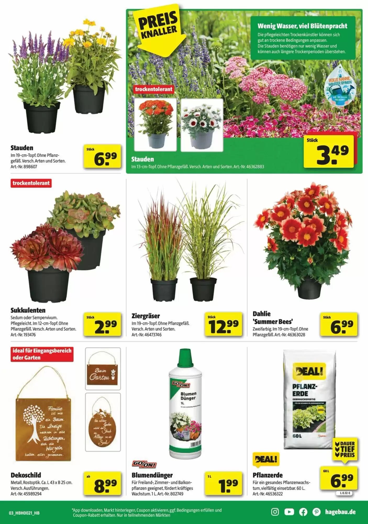 Leitermann Baumarkt Prospekt (ab 18.05.2026) zum Blättern - Seite 3