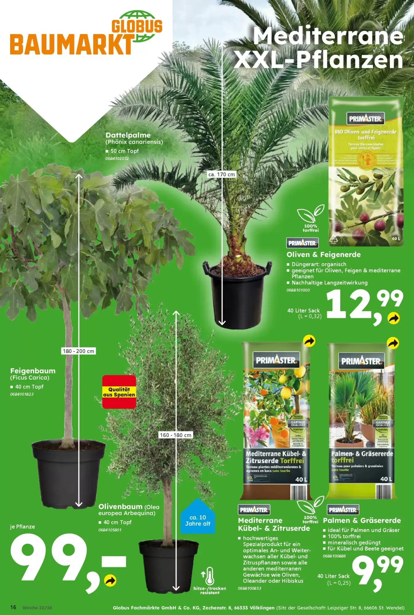 Globus Baumarkt Prospekt (ab 25.05.2026) zum Blättern - Seite 17