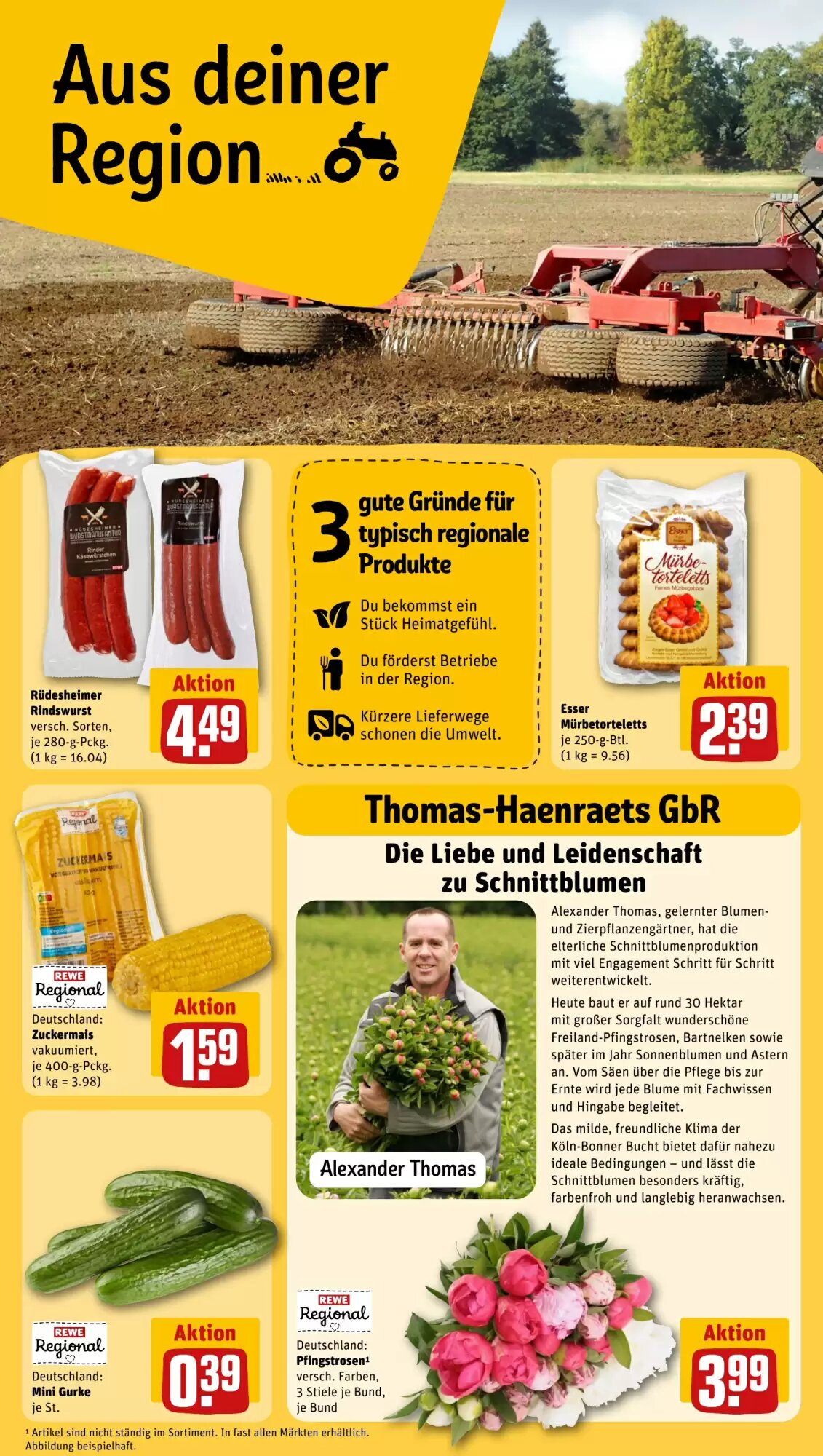REWE PETZ Prospekt (ab 25.05.2026) zum Blättern - Seite 22