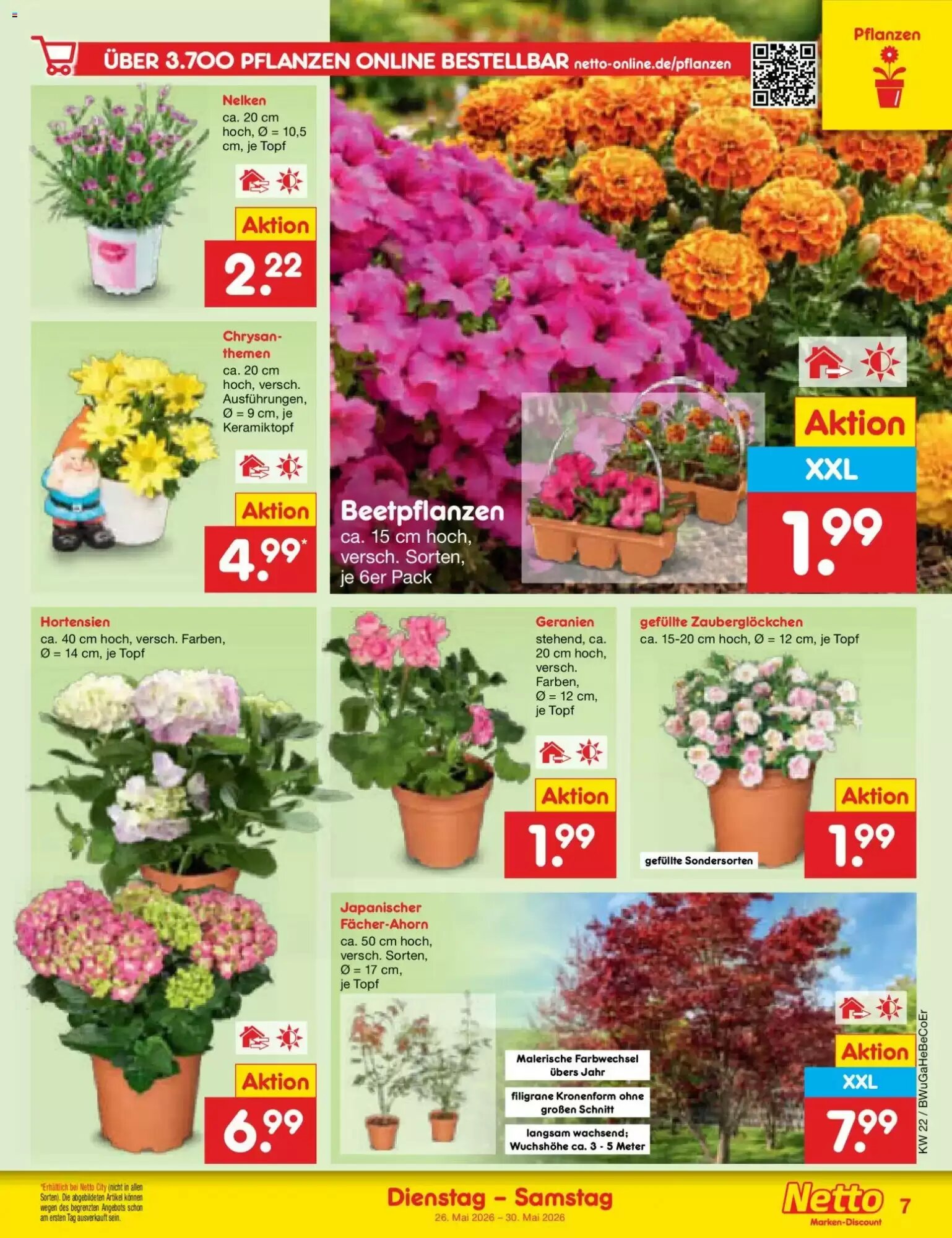 Netto Marken-Discount Prospekt (ab 26.05.2026) zum Blättern - Seite 9