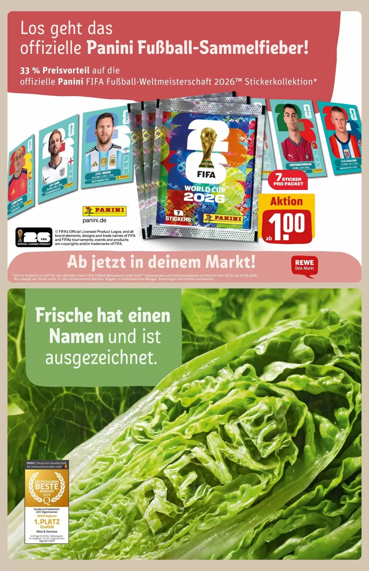 REWE Center Prospekt (ab 26.05.2026) zum Blättern - Seite 21