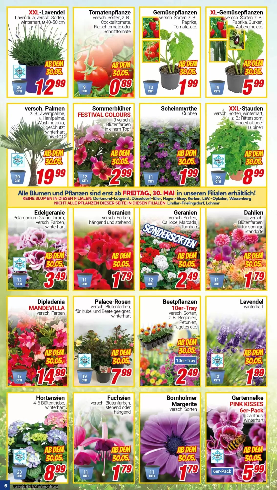 CENTERSHOP Prospekt (ab 26.05.2026) zum Blättern - Seite 6