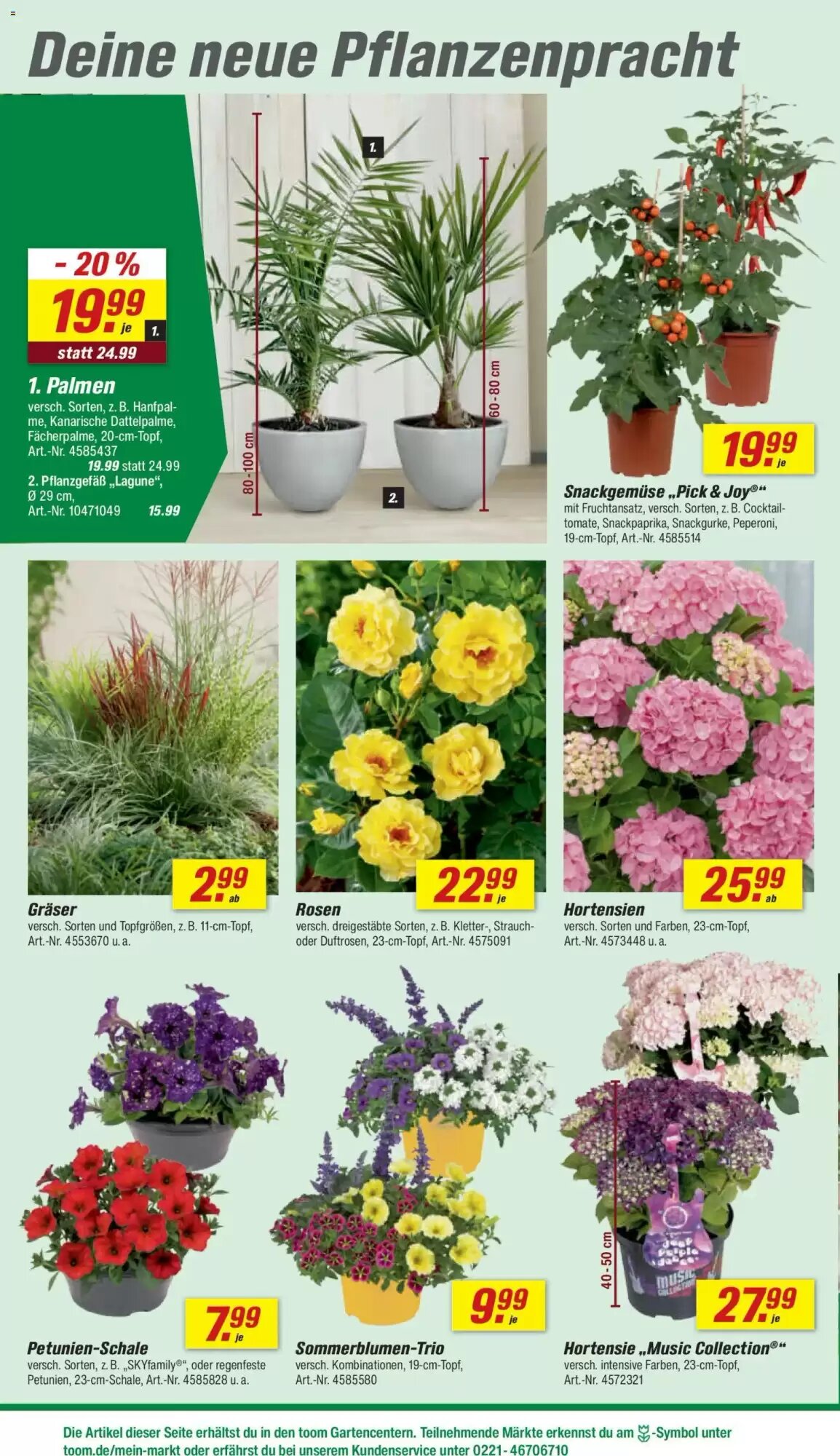 toom Baumarkt Prospekt (ab 30.05.2026) zum Blättern - Seite 8