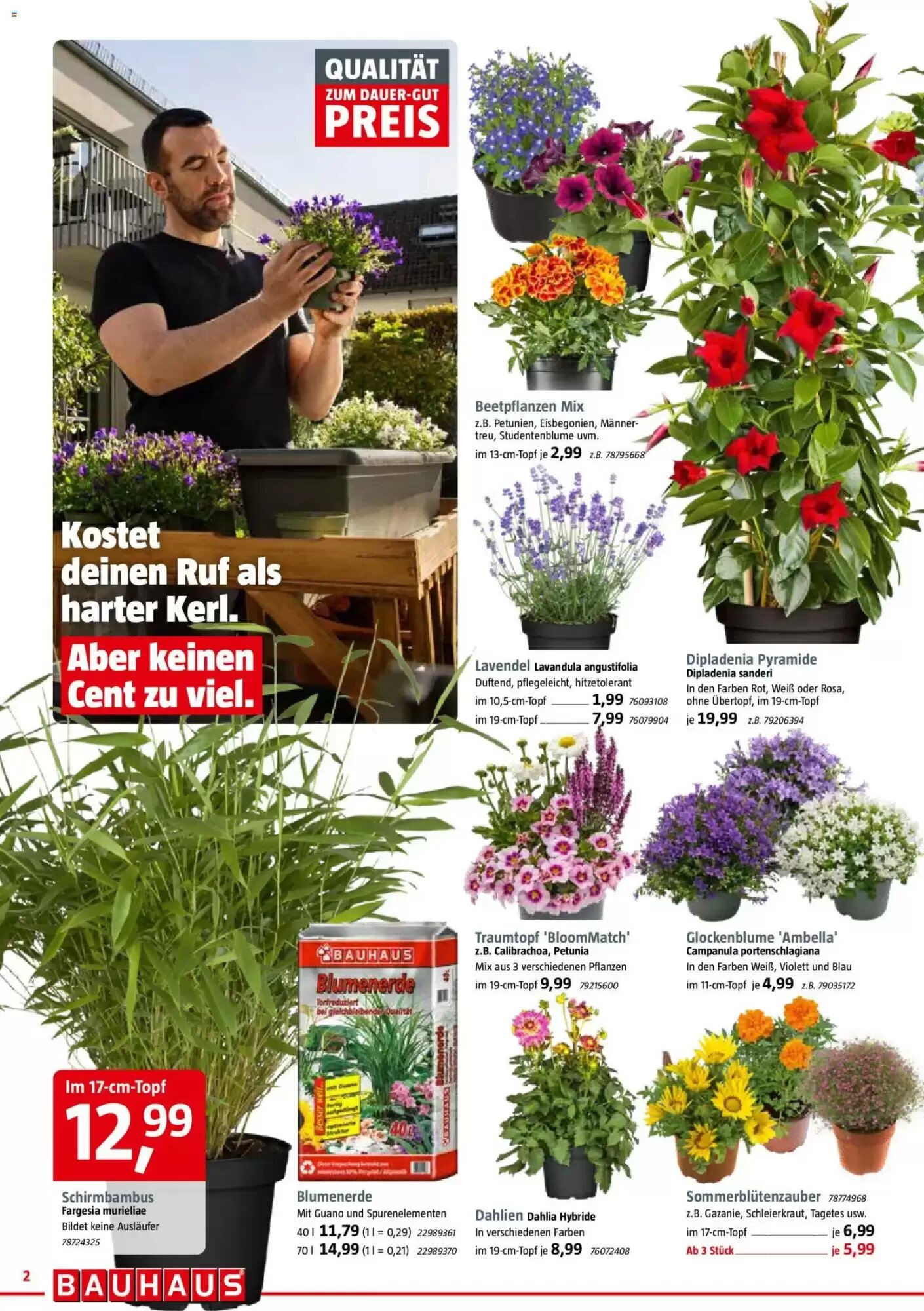 Bauhaus Prospekt (ab 30.05.2026) zum Blättern - Seite 2