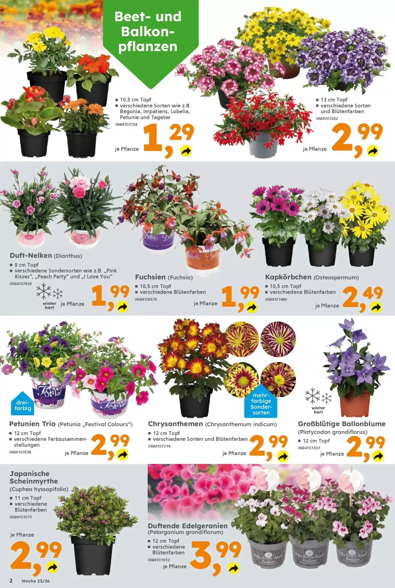 Globus Baumarkt Prospekt (ab 31.05.2026) zum Blättern - Seite 2