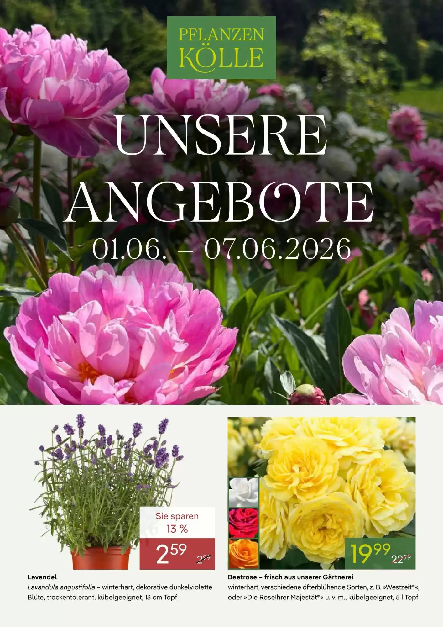 Pflanzen Kölle Prospekt (ab 31.05.2026) zum Blättern - Seite 1