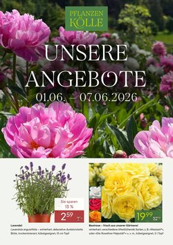 Pflanzen Kölle Prospekt (ab 31.05.2026) zum Blättern