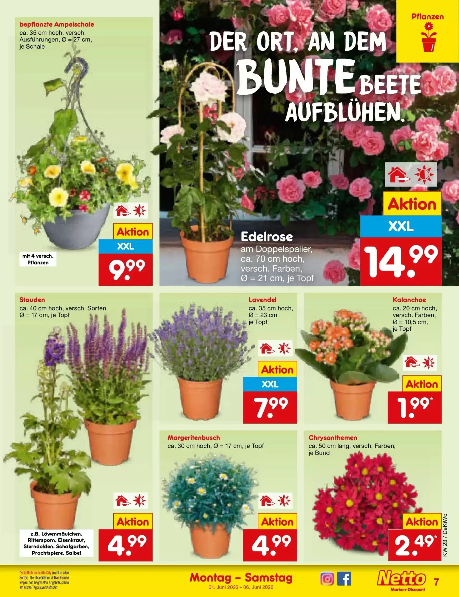 Netto Marken-Discount Prospekt (ab 01.06.2026) zum Blättern - Seite 7