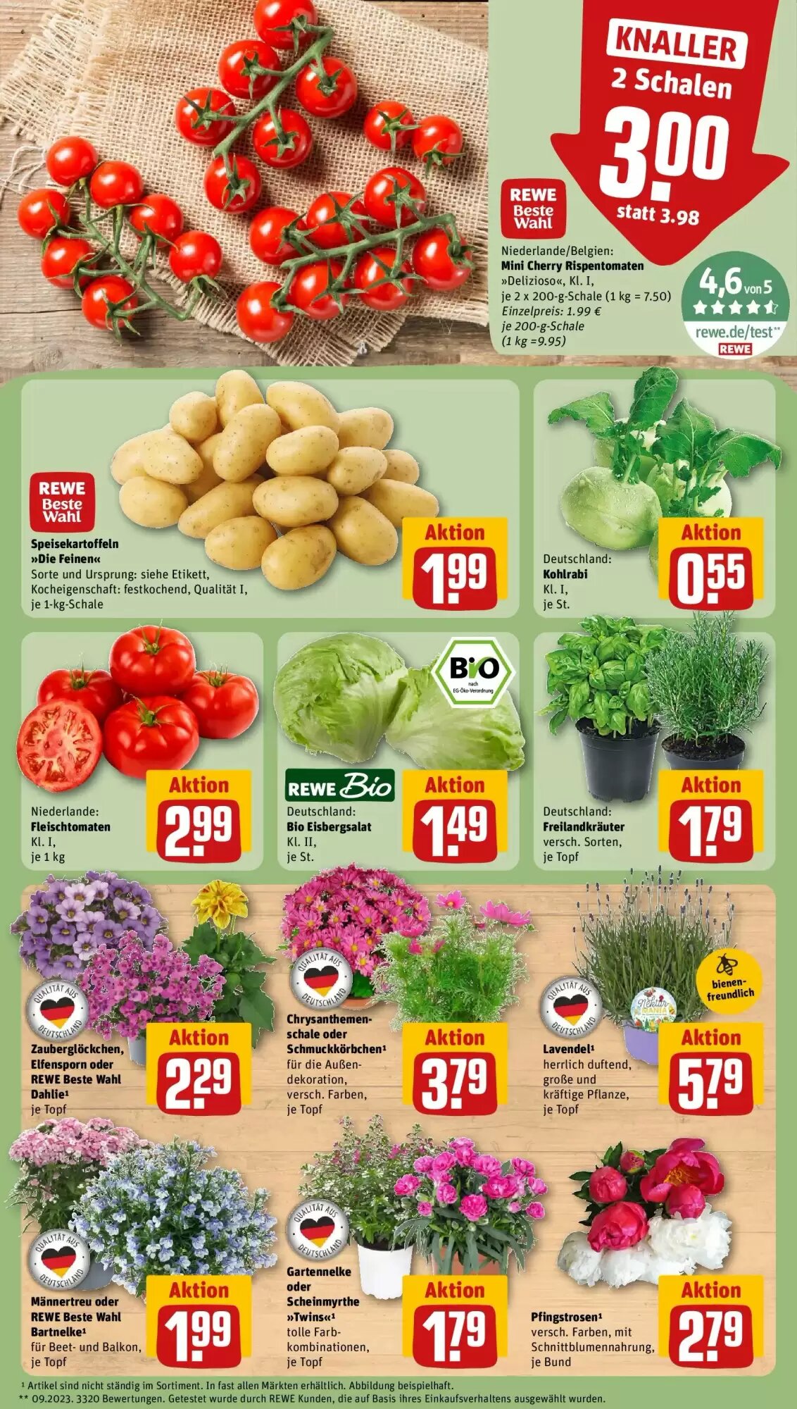 REWE Prospekt (ab 01.06.2026) zum Blättern - Seite 5