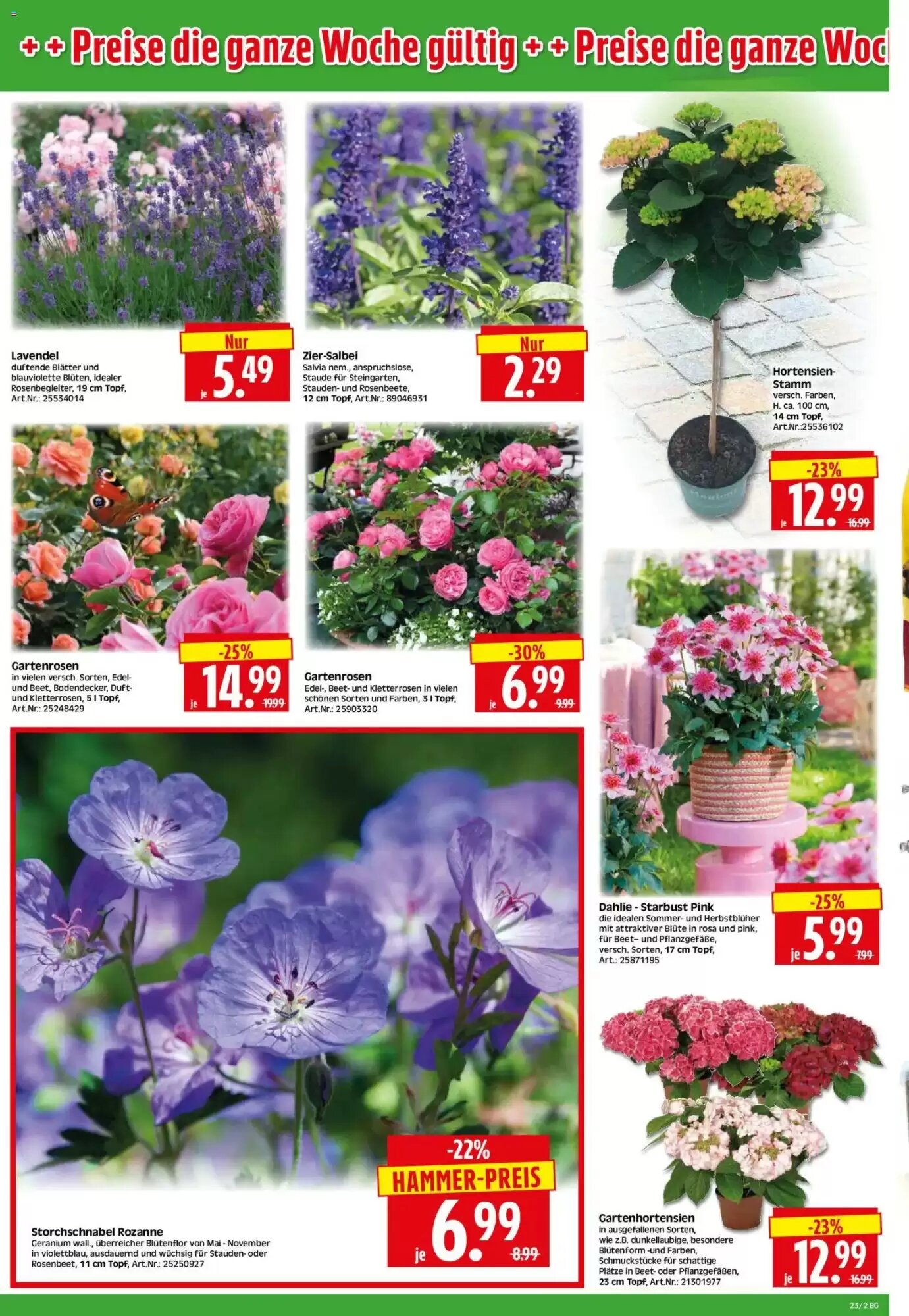 Herkules Baumarkt Prospekt (ab 01.06.2026) zum Blättern - Seite 2