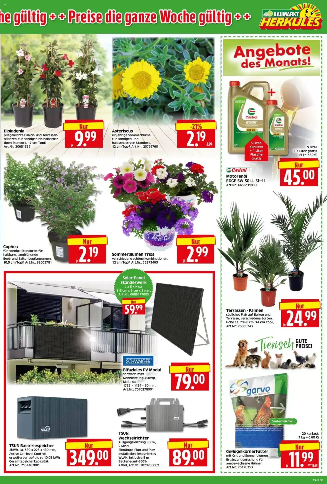 Herkules Baumarkt Prospekt (ab 01.06.2026) zum Blättern - Seite 5